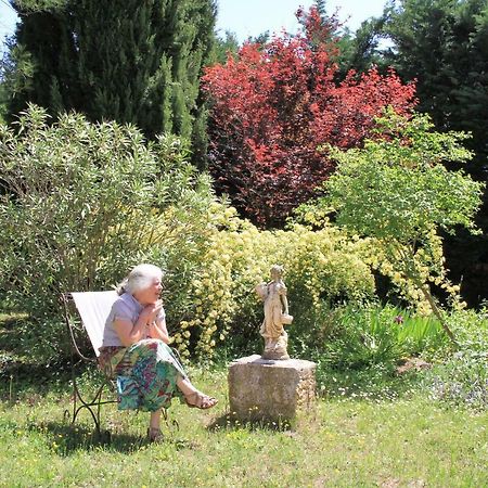 Gite Derriere Les Oliviers -Le Mas De La Cigale Bleue Caumont-sur-Durance Exterior foto